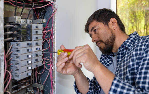Best Ceiling Fan Installation Electrician  in Freeport, IL